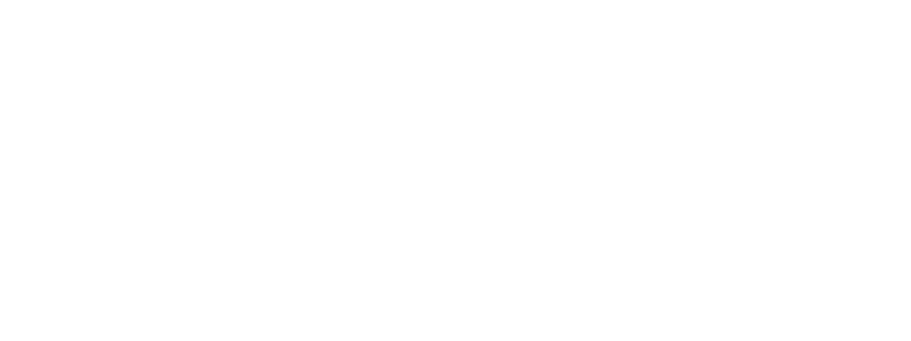 Google Partner
